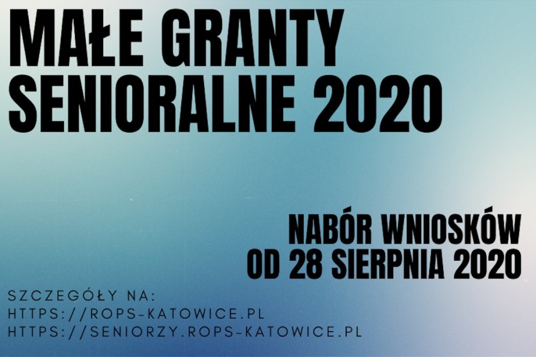  GRANTY SENIORALNE 2020 